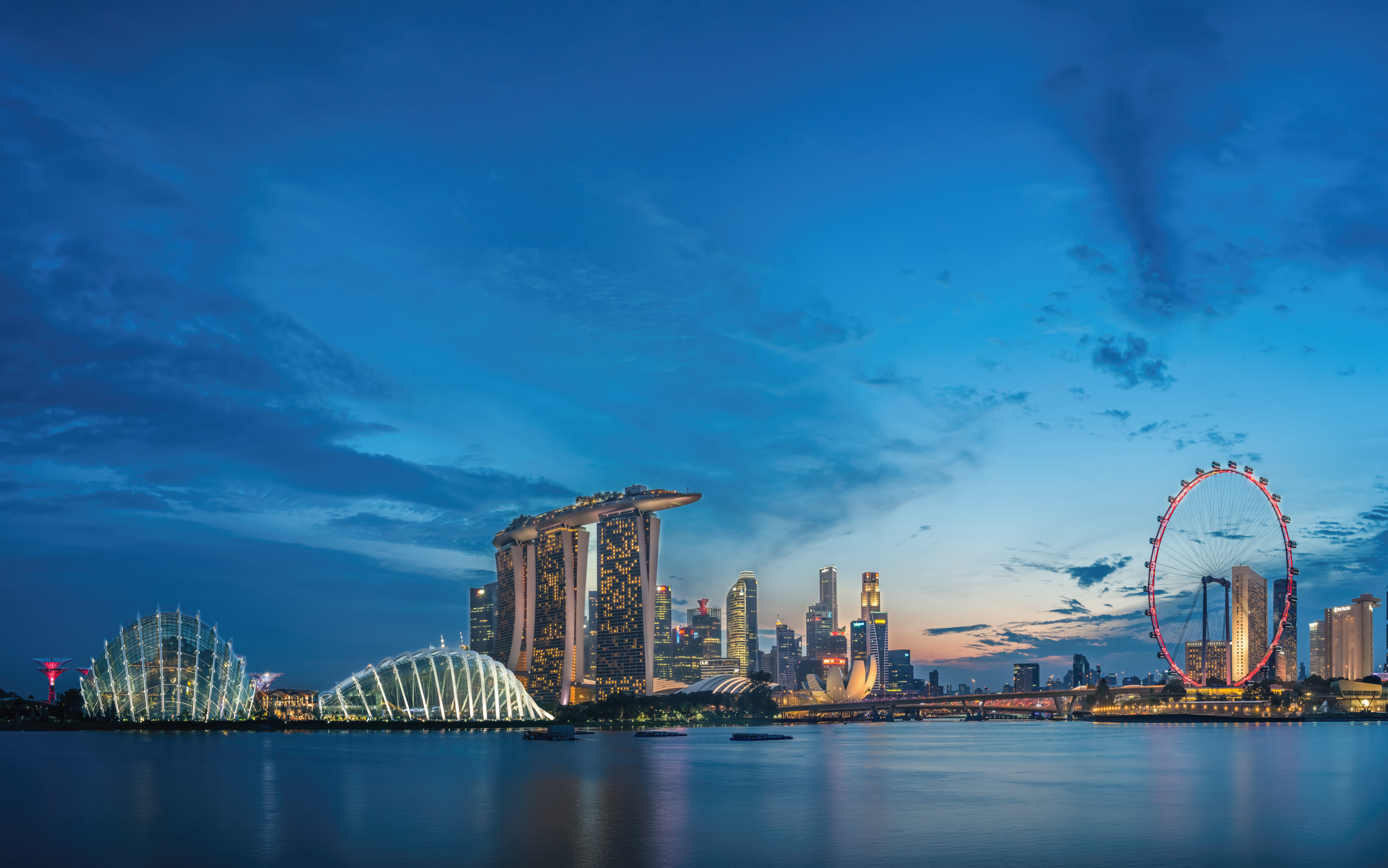 Panoramic Gardens by the Bay scene during Singapore National Day celebrations